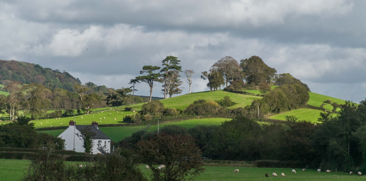 Rural Property Demand Remains High